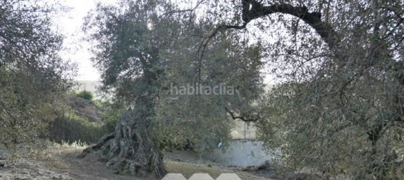 3 bedrooms House in Alcaucin, Spain No. 45177 37