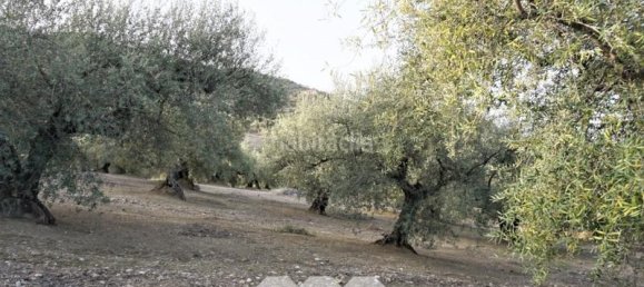 3 bedrooms House in Alcaucin, Spain No. 45177 39