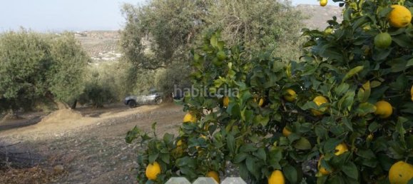 3 bedrooms House in Alcaucin, Spain No. 45177 9