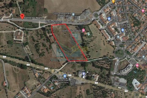 22349m² Land in Torres Novas, Portugal No. 75714