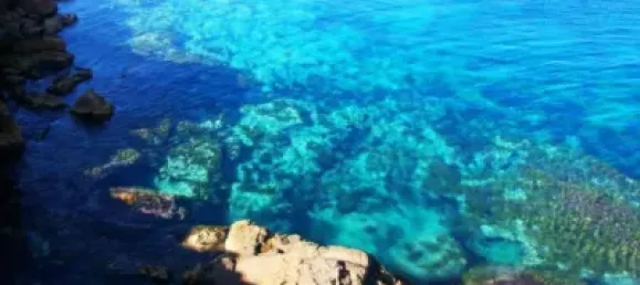 3 bedrooms Apartment in Murcia, Spain No. 130383 28