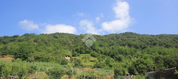 1 bedroom Apartment in Olgiate Molgora, Italy No. 329700 3