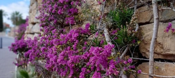 3 bedrooms Apartment in Golf Bahia, Spain No. 179443 18