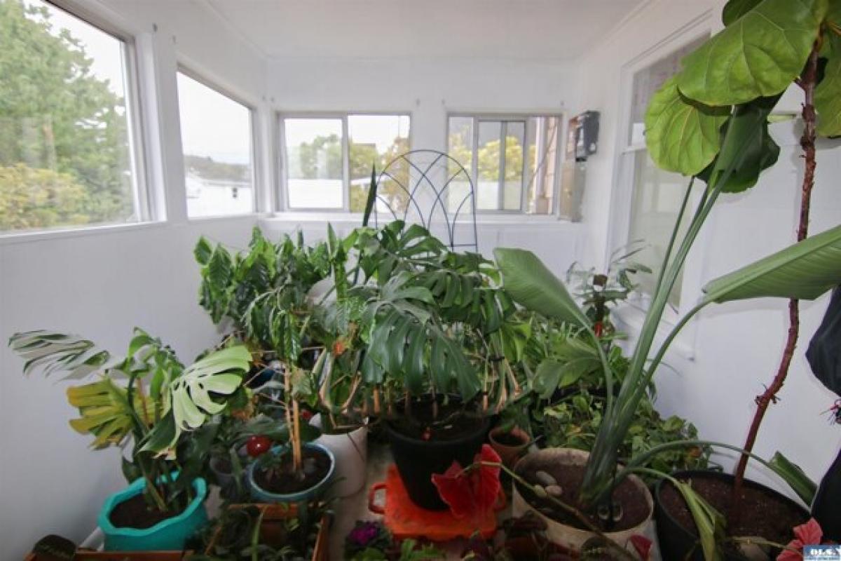 2 bedrooms House in Port Angeles, USA No. 390526