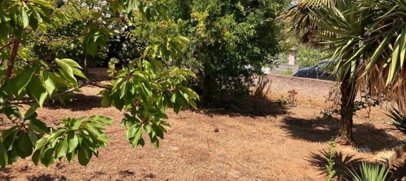 Villa de 3 dormitorios en Borgo, France No. 64563 19