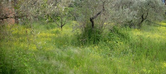 Hôtel à Magnesia, Greece 3764m² No. 7548 4