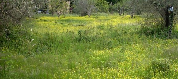 Hôtel à Magnesia, Greece 3764m² No. 7548 2