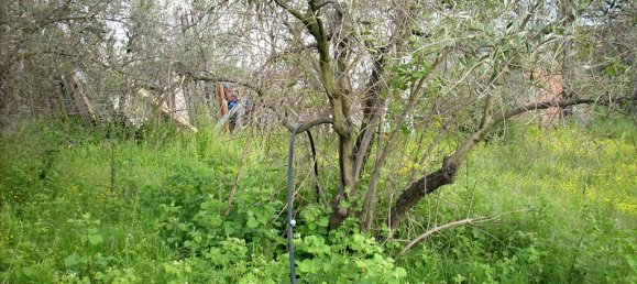 Hôtel à Magnesia, Greece 3764m² No. 7548 3