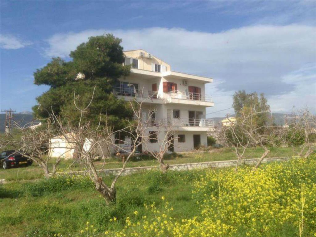 500m² Property in Agioi Theodoroi, Greece No. 4585