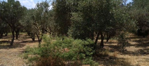 500m² Property in Agioi Theodoroi, Greece No. 4585 7