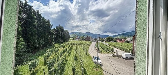 3 Schlafzimmer Haus in Haut-Rhin, France, Nr. 254255 13