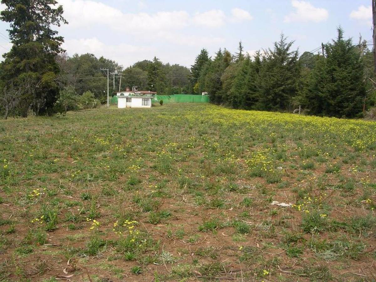 Terreno en Villa del Carbón, Mexico No. 202614