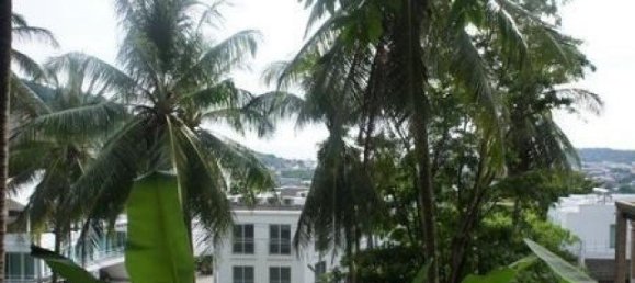 525m² Commercial property in Kata, Thailand No. 12410 6