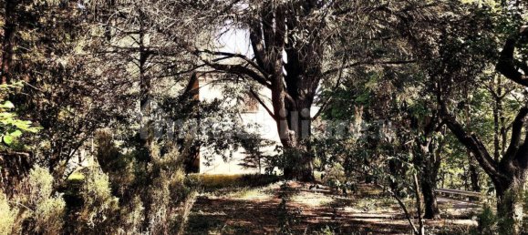 5 chambres Villa à Castelletto Uzzone, Italy No. 71838 50