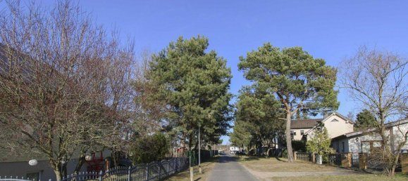 5 bedrooms House in Oberhavel, Germany No. 318908 13