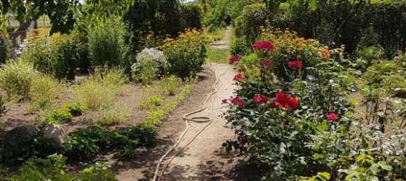 Casa de 1 dormitorio en Markisch-Oderland, Germany No. 258749 7