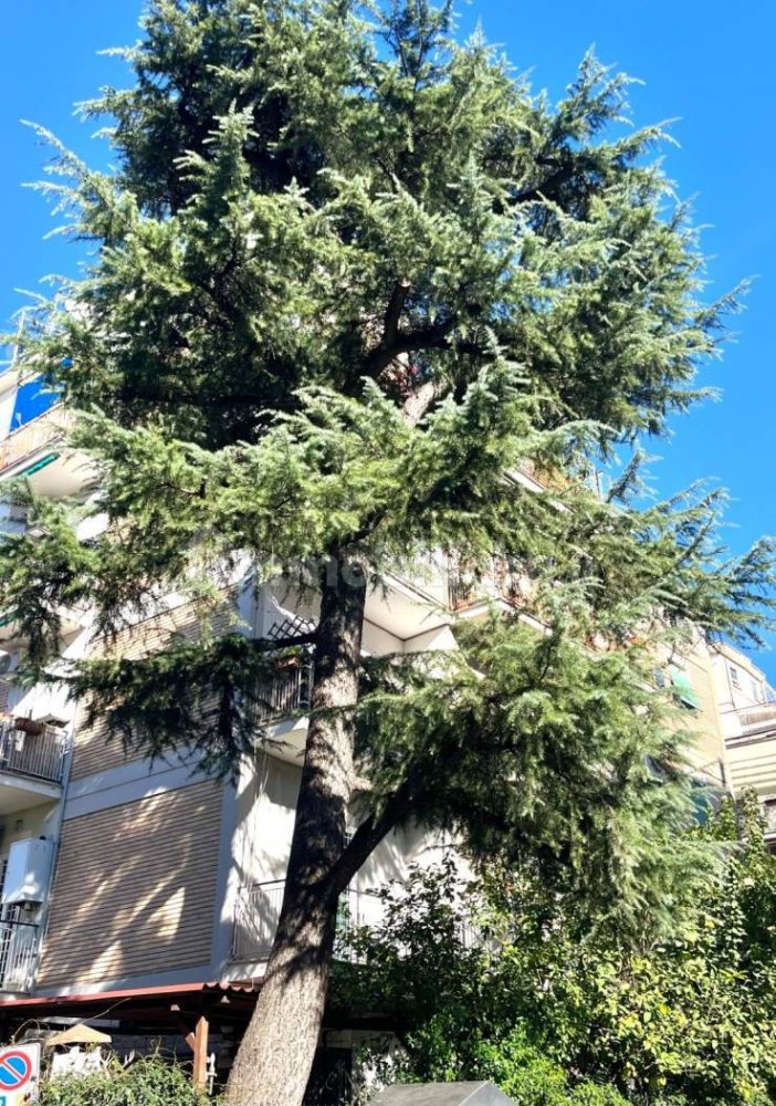 1 bedroom Apartment in Rome, Italy No. 83812