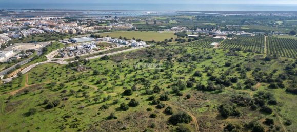 قطعة أرض في Tavira, Portugal 218837متر مربع رقم 50447 13