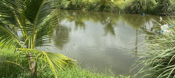 2 bedrooms Villa in Surin, Thailand No. 64093 18