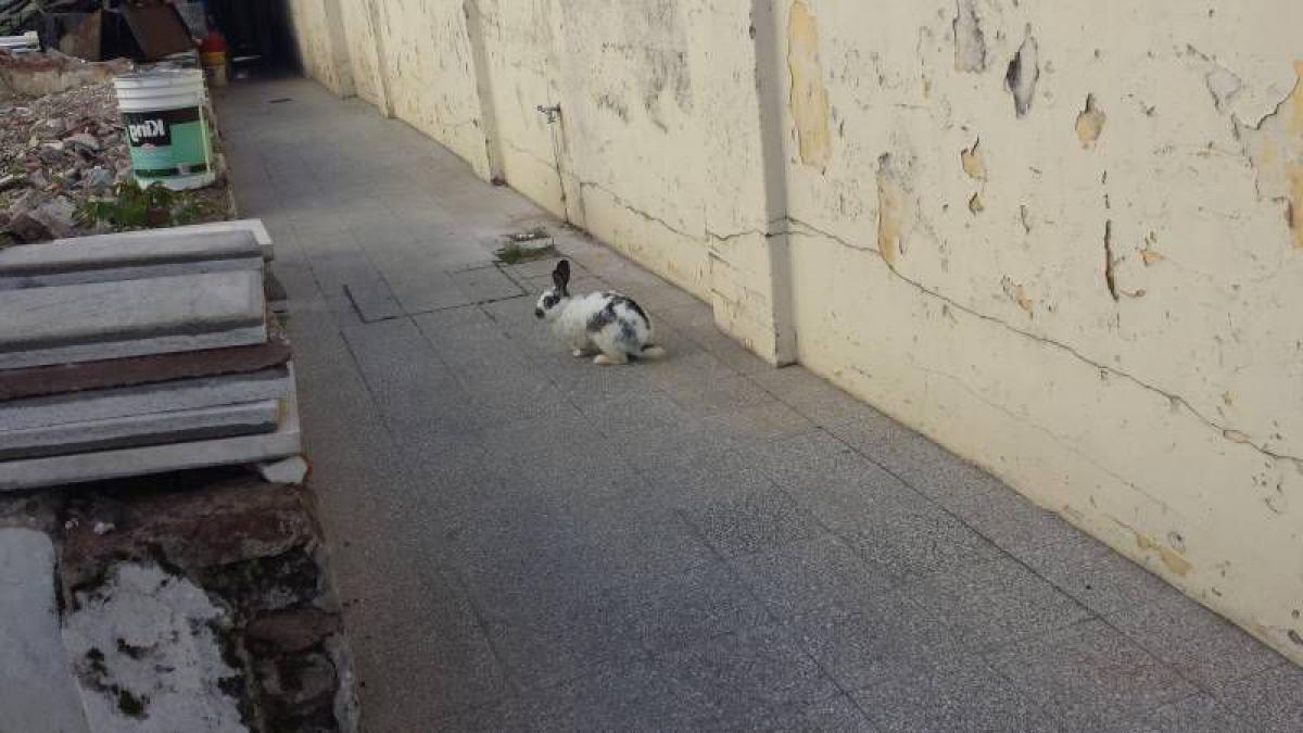 Grundstück in Buenos Aires, Argentina, Nr. 112691