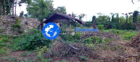 1034m² Building in Braga, Portugal No. 120290 8