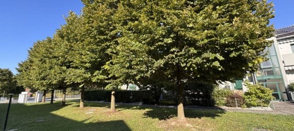 5 rooms Duplex in Noventa Padovana, Italy No. 290156 5