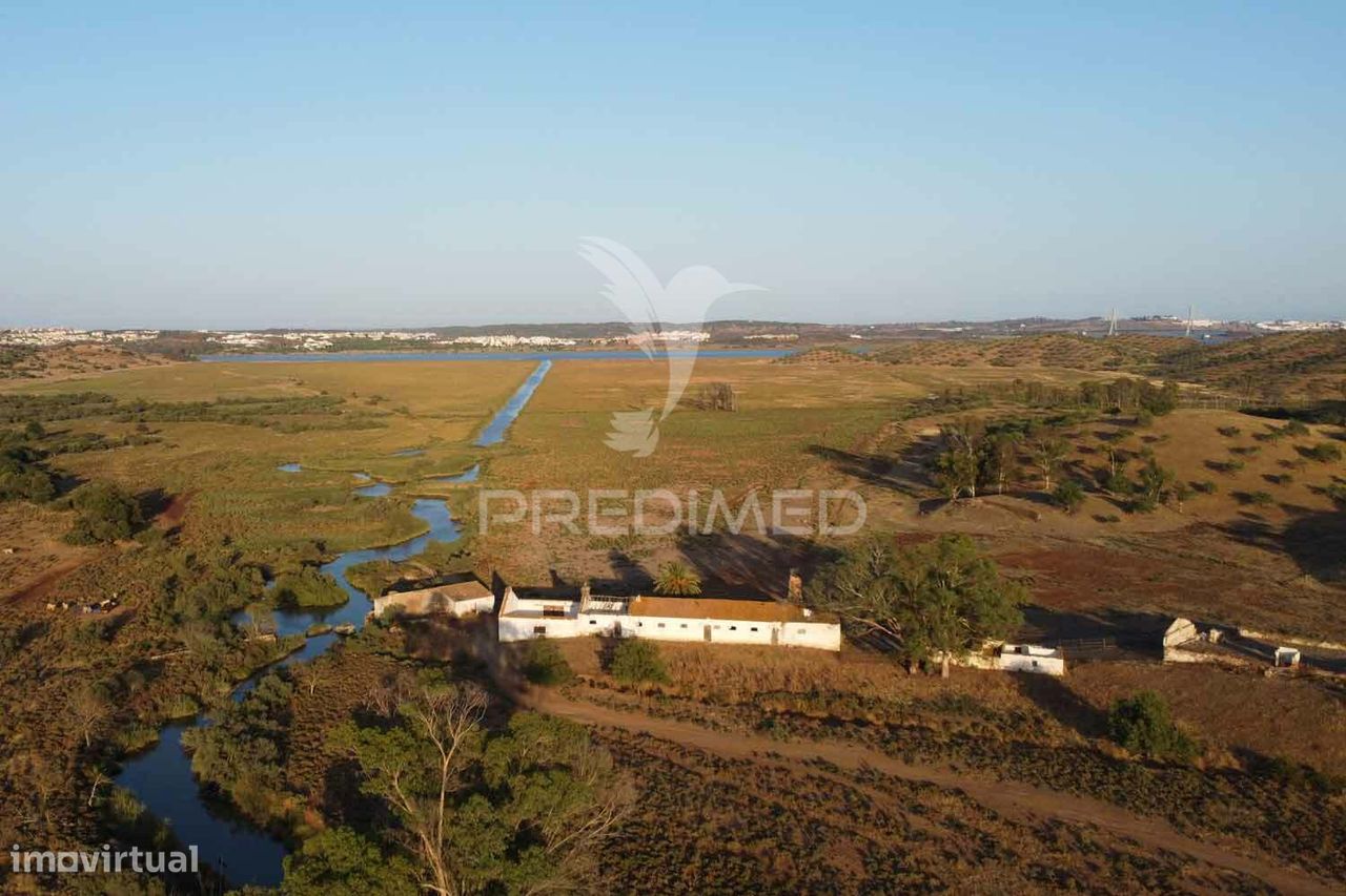 9 chambres Châteaux à Azinhal, Portugal No. 135508