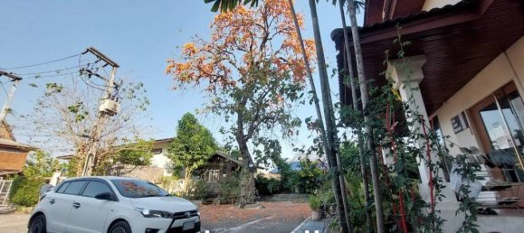 13 bedrooms Hotel in Chiang Mai, Thailand No. 24021 5