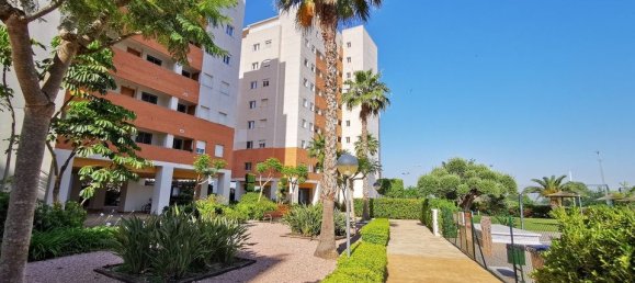 2 bedrooms Apartment in Guardamar del Segura, Spain No. 189834 2