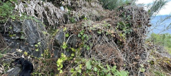 1936m² Land in Azores, Portugal No. 202691 8