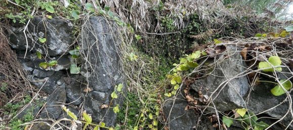 1936m² Land in Azores, Portugal No. 202691 5