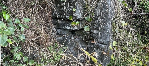 1936m² Land in Azores, Portugal No. 202691 6