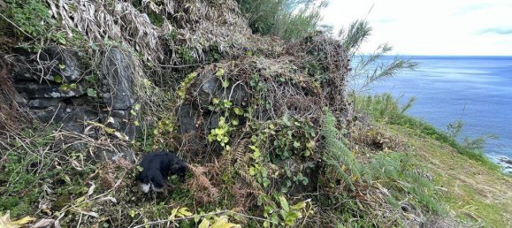 1936m² Land in Azores, Portugal No. 202691 4