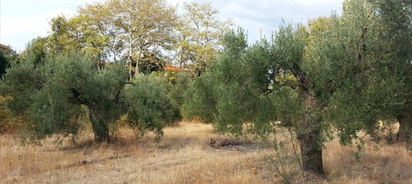 Hotel em Chalkidiki, Greece 3780 m² N.º 8104 2