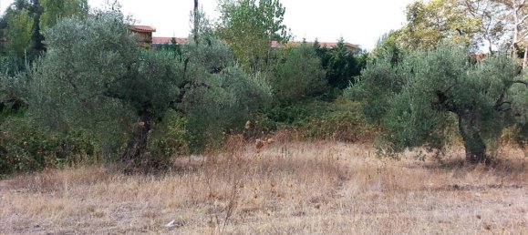 Hotel em Chalkidiki, Greece 3780 m² N.º 8104 4