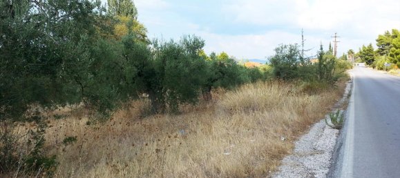 Hotel em Chalkidiki, Greece 3780 m² N.º 8104 5