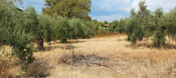 Hotel em Chalkidiki, Greece 3780 m² N.º 8104 3