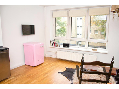 1 bedroom Apartment in Hamburg-Mitte, Germany No. 22729