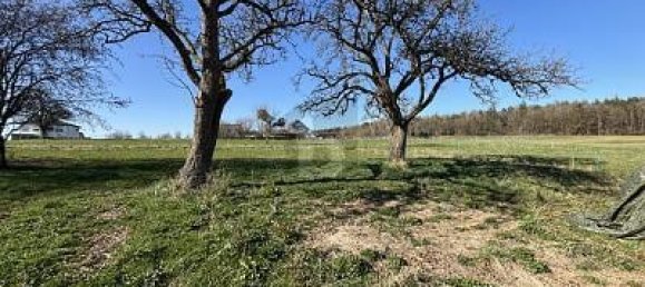 قطعة أرض في Bernkastel-Wittlich, Germany 656متر مربع رقم 340115 4