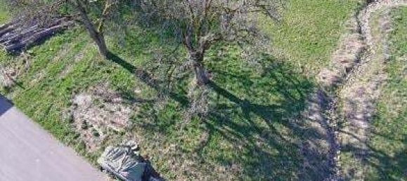 قطعة أرض في Bernkastel-Wittlich, Germany 656متر مربع رقم 340115 5