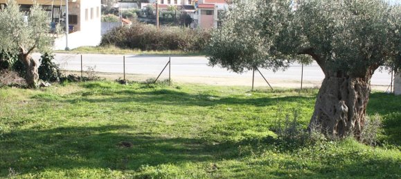 1496m² Hotel in Chalkidiki, Greece No. 8046 4