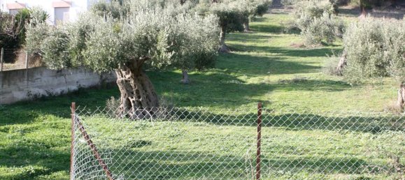 1496m² Hotel in Chalkidiki, Greece No. 8046 3