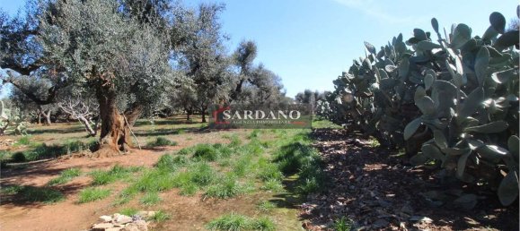 2 rooms House in San Vito dei Normanni, Italy No. 172374 6