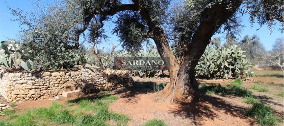 2 rooms House in San Vito dei Normanni, Italy No. 172374 9