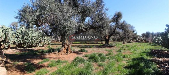 2 rooms House in San Vito dei Normanni, Italy No. 172374 7