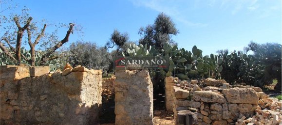 2 rooms House in San Vito dei Normanni, Italy No. 172374 5