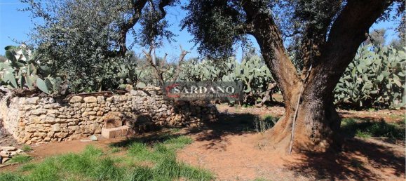 2 rooms House in San Vito dei Normanni, Italy No. 172374 8