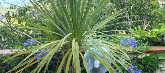 5 bedrooms Villa in Messina, Italy No. 377873 51