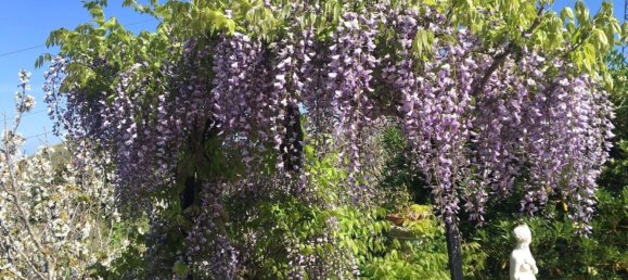 5 bedrooms Villa in Messina, Italy No. 377873 37