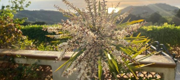 5 bedrooms Villa in Messina, Italy No. 377873 35